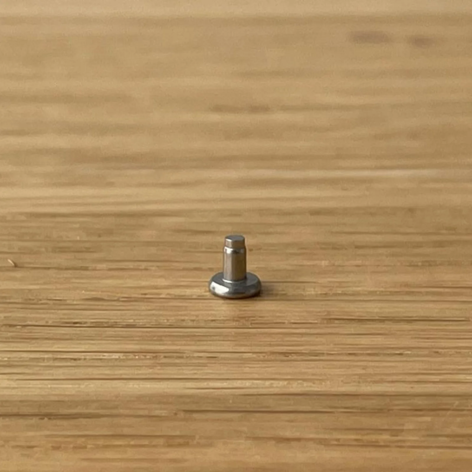 RIVET, Inox - RIVET PETIT PLEIN